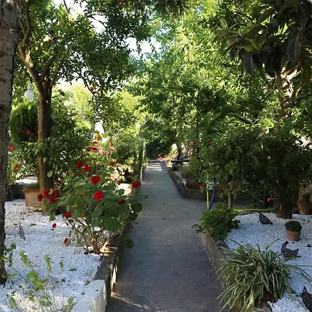 ベッド・アンド・ブレックファスト Gemini *