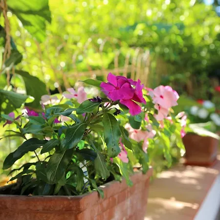 Gemini ベッド・アンド・ブレックファスト *