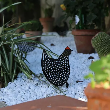 Gemini ベッド・アンド・ブレックファスト サンタニェッロ