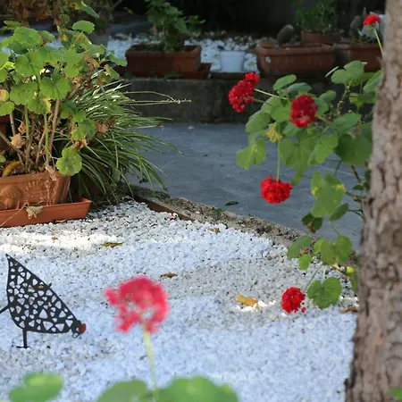 ベッド・アンド・ブレックファスト Gemini